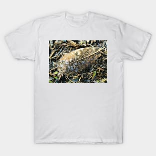 Leaf Skeleton T-Shirt